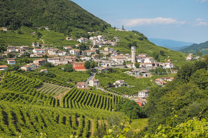 意大利威尼托(veneto)的 prosecco 酒产区.